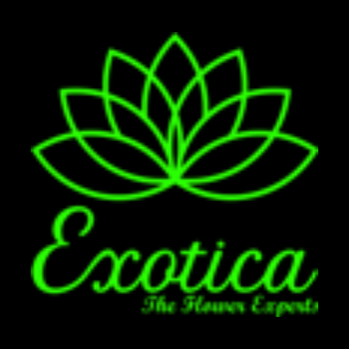 Exotica Gifting